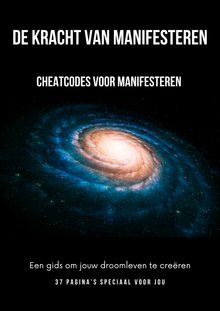 De kracht van manifesteren + planner